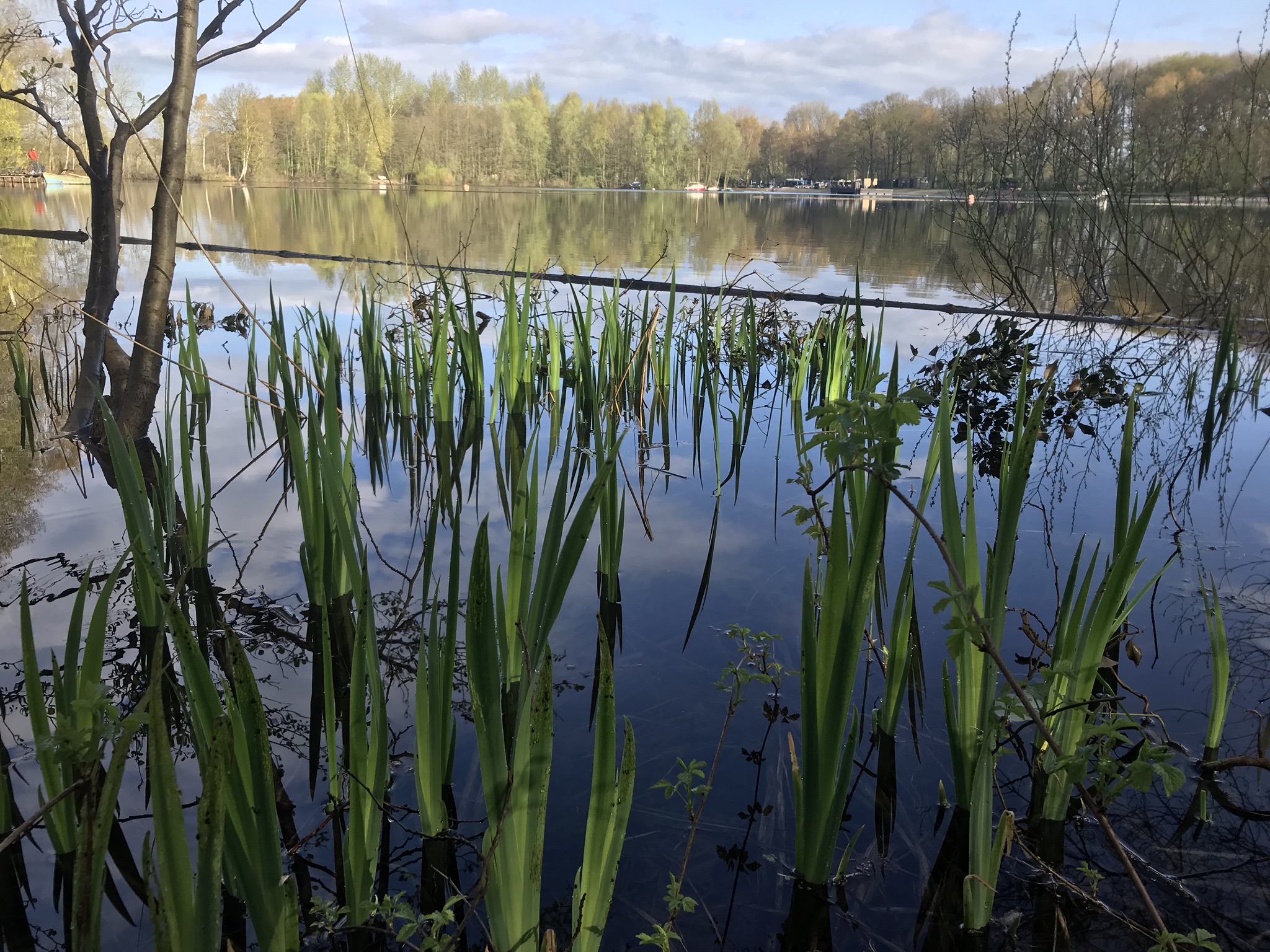 EyllerSee Angelsportverein EyllerSee e.V. Kerken